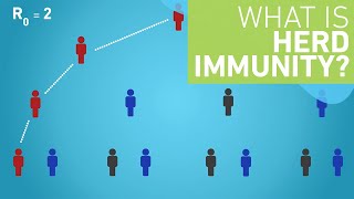 What is Herd Immunity [upl. by Simmonds]