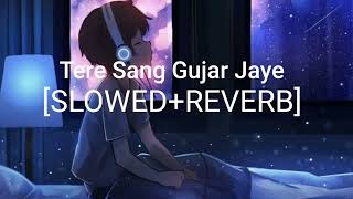 Tere Sang Gujar Jaye SlowedReverb Song  Lofi Songs [upl. by Etka476]