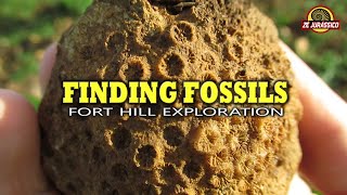 Finding Fossils  Fort Hill Exploration [upl. by Wareing]