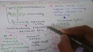 REGULATION OF CORTISOL SYNTHESIS AND SECRETION  GLUCOCORTICOID SECRETION [upl. by Omik]