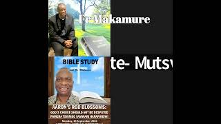 Fr Makamure 160924 Bible Study Numbers Chapter 17Aarons Road Blossoms [upl. by Kcirdehs]