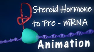 Steroid Hormone Eukaryotic Gene Regulation [upl. by August]