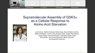 048 Pathology of Asparaginase Resistance Alejandro Gutierrez MD St Jude Childr [upl. by Siron]