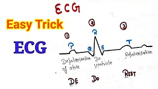 Easy trick to learn ECG NCERT class 11th  Electrocardiograph trick  important for NEET  AIIMS [upl. by Offen]