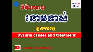 នោមទាស់ មូលហេតុនិងវិធីព្យាបាល l Dysuria causes and treatment l នោមទាស់ l HealthTube Offical [upl. by Aipotu72]