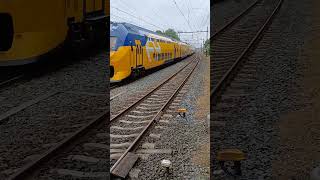 48 VIRM Flow 6 8703 komt Blerick binnen op weg naar Dordrecht [upl. by Scottie140]