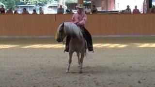 NRHA 2010 Emanuel Ernst mit Haflinger Nico [upl. by Getraer]