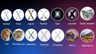 History of Mac OS X [upl. by Zahara]