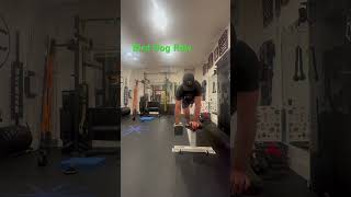 Bird Dog Row fitness motivation golffit [upl. by Kippy742]