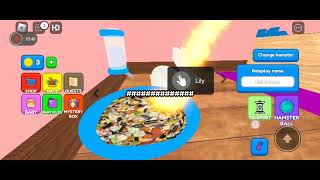 play hamster simulator on Roblox [upl. by Schafer341]