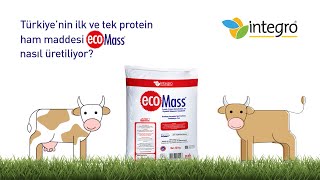 Türkiyenin ilk ve tek protein ham maddesi ecoMass® nasıl üretiliyor [upl. by Kamin715]