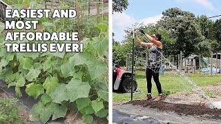 The Easiest DIY Garden Trellis Ever [upl. by Alad]