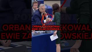 WIELKI SOJUSZ ZAJĄCZKOWSKIEJ I ORBANA polityka polskapolityka konfederacja [upl. by Gaulin]