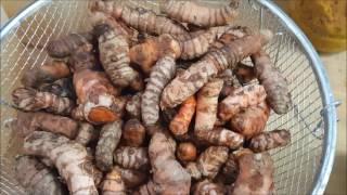 how to extract curcumin from Tumeric No Alcohol [upl. by Keese]