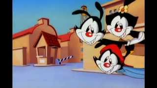 Animaniacs  S01E17 [upl. by Tymothy]