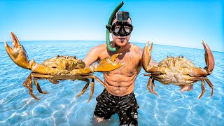 Island Survival Only Using My Bare Hands To Catch Food [upl. by Lorrad]