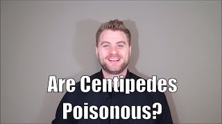 Are Centipedes Poisonous [upl. by Veator847]