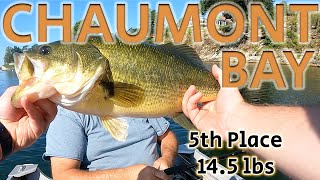 Chaumont Bay 2023 bassfishing bass basstournament [upl. by Zysk181]