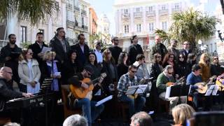 ZARZUELA CADIZ JOTA MAGNIFICO CONCIERTO DIA ANDALUCIA EN CADIZ 28 02 15 [upl. by Nnylear]