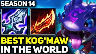 RANK 1 BEST KOGMAW IN SEASON 14  AMAZING GAMEPLAY  League of Legends [upl. by Esital179]