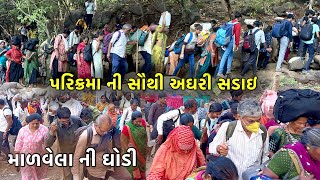 માળવેલા ની ઘોડી  Girnar Lili Parikrama  Lili Parikrama 2023  Junagadh  The Best Vlog [upl. by Batory]