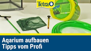 Aquarium aufbauen  Einsteiger Tipps und Tricks vom Profi [upl. by Yemiaj]