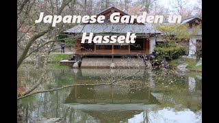 Japanese Garden in Hasselt 🇧🇪 [upl. by Victorine]