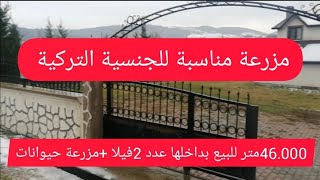 46000متر مزرعه للبيع بها عدد 2فيلا مزرعة حيواناتفي بورصة تركيا Farm for sale in Bursa تم البيع [upl. by Aerehs]