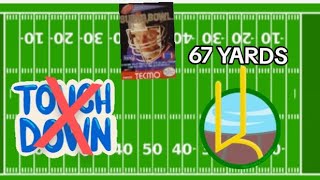 Tecmo Super Bowl Best Play ever [upl. by Oicnecserc]