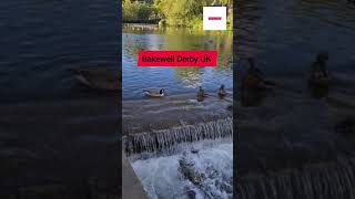 🪿🐤🕋🕌🙏🇬🇧Bakewell Derbyshire uk trvelvlog 4k 2024walking waternature [upl. by Hankins]