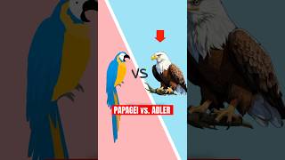 🦜PAPAGEI vs ADLER 🦅 shorts lernen papagei wissen psychologie evolution angst leben [upl. by Benjie]