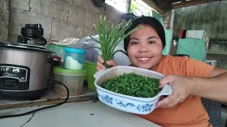 ADOBONG SITAW FOR TODAYS VIDEO [upl. by Dnalerb737]