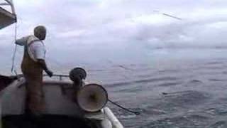 Commercial Albacore Fishing  FVEZ1 [upl. by Burta]