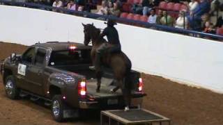 Dan Keen amp Troubadour  Mustang horse   IALHA show 2009 [upl. by Adekram934]