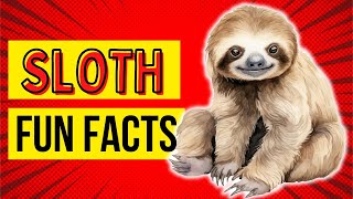 🌴 10 Interesting Slothtastic Facts You Never Knew 🦥 [upl. by Meehaf]