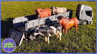 Transportando as Vacas para a Fazenda  Um Dia de Lida [upl. by Amalea]