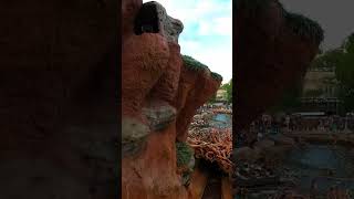 Splash Mountain at Magic Kingdom in Walt Disney World shorts splashmountain [upl. by Esinwahs]