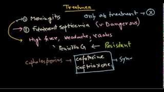 Neisseria meningitidis treatment [upl. by Adnicaj]