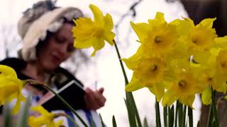 William Wordsworths daffodils poem I wandered lonely as a cloud [upl. by Mehsah]