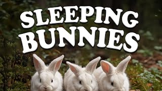 SLEEPING BUNNIES  Nursery Rhyme [upl. by Oinotnaocram655]