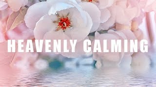 Heavenly Calming Music for Sleep Meditation Relaxing Sleep Music Gentle Sleep Music 🕙10 Hours [upl. by Ladd]