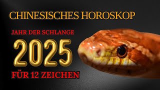 Chinesisches Horoskop für 2025  nach Geburtsjahr  Jahr der Schlange [upl. by Eadahc365]