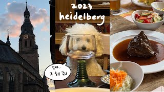 🇩🇪August in heidelberg  하이델베르크의 8월은 어땠냐면요••• [upl. by Rhines465]