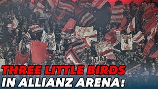 Three Little Birds in de Allianz Arena  VOETBAL INSIDE [upl. by Ahseela961]