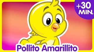 POLLITO AMARILLITO  Compilado de Clips 30 min  Canciones infantiles de la Gallina Pintadita [upl. by Dara383]