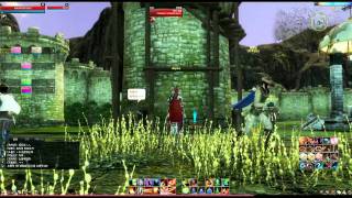 ArcheAge Online Building Castle Walls [upl. by Bascio]