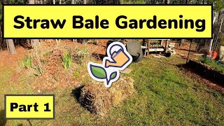 Straw Bale Gardening Part 1 [upl. by Anneiv]