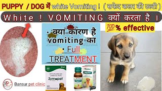 Dog में या puppy में vomiting  white foam   prevention amp cause  Treatment [upl. by Innus]