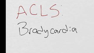 Approach to the Bradycardic Patient [upl. by Wahl449]