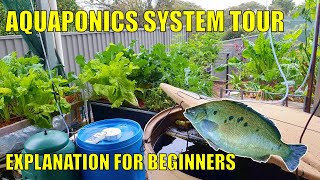 Aquaponics System Explanation amp Walkthrough for Beginners [upl. by Felise]